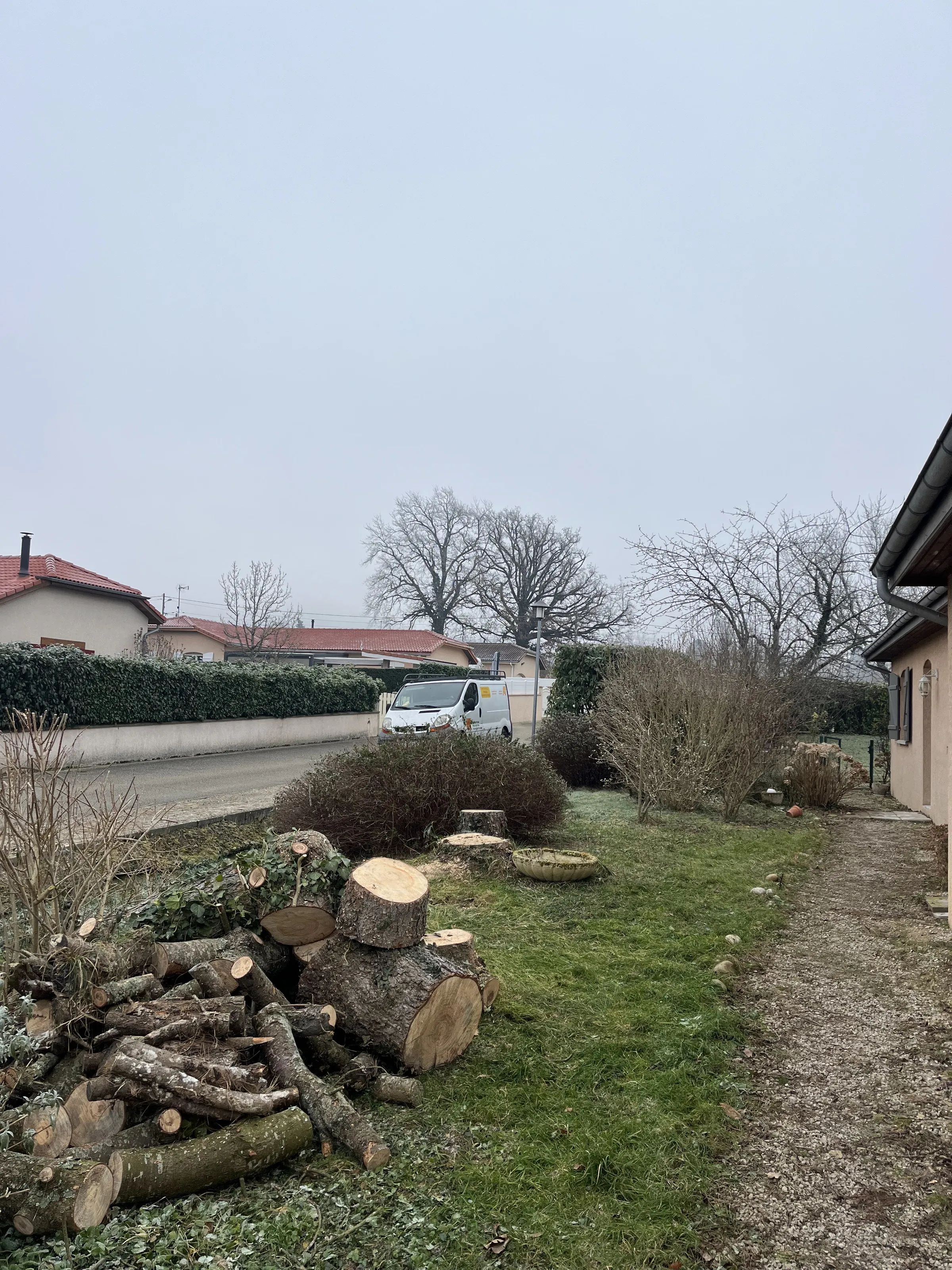 Un arbre abattu, débité en rondins et en branches au bord d'une pelouse.