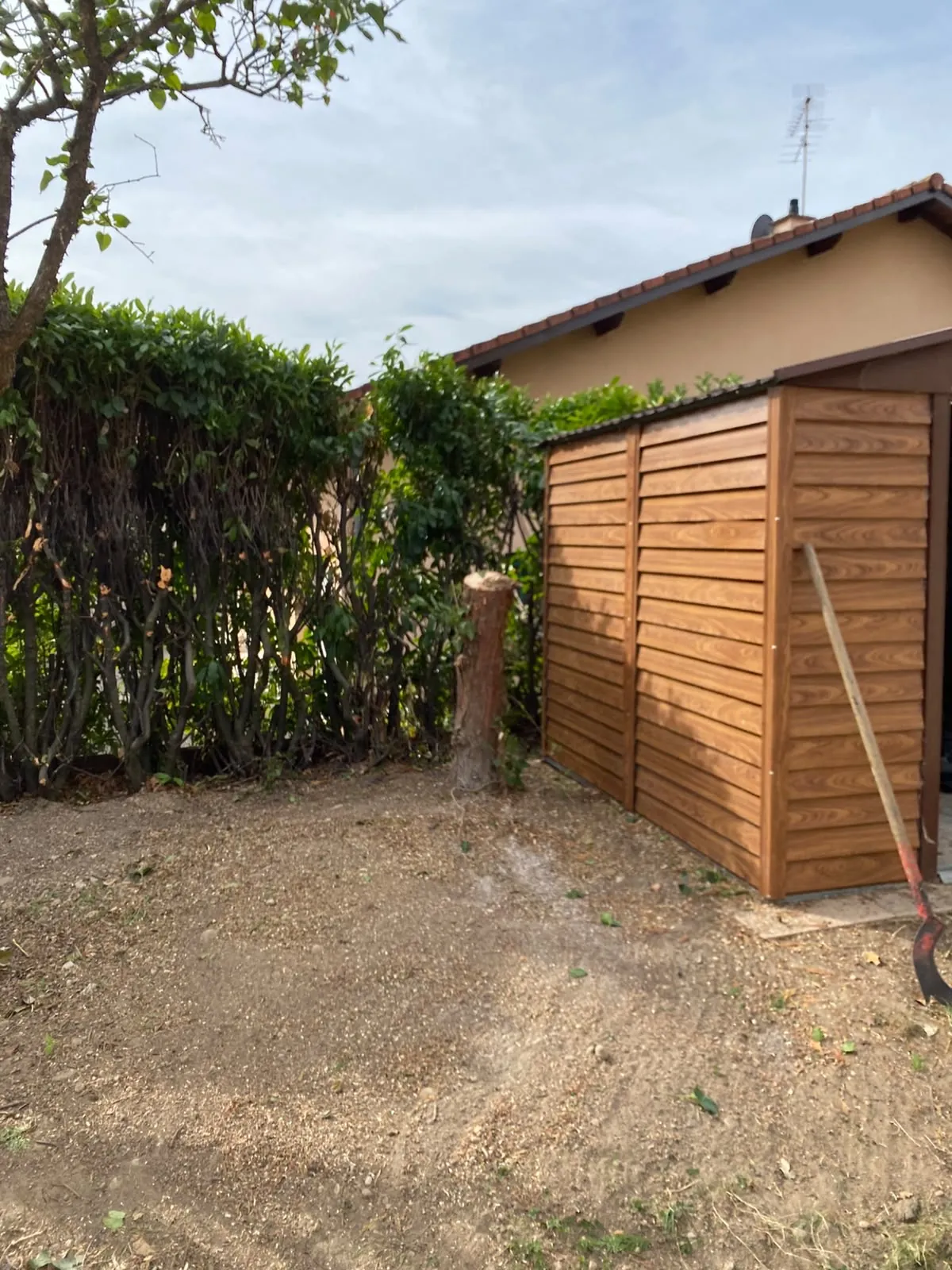 Un tronc coupé près d'un abri de jardin, le sol nettoyé autour.