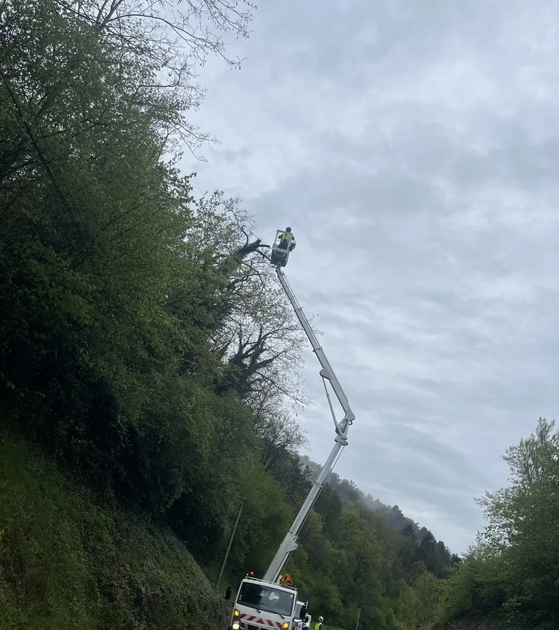 Une nacelle déployée au sommet des arbres d'un talus, au bord d'une route balisée.