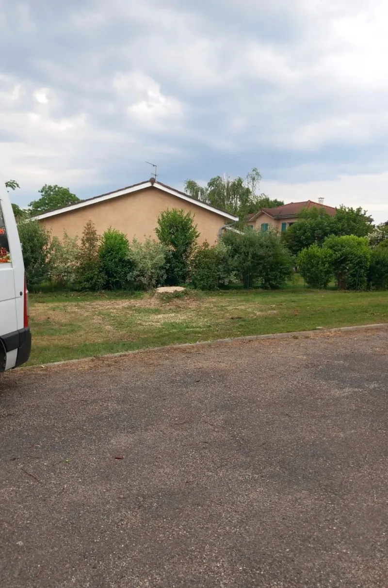 Le terrain dégagé après l'abattage.