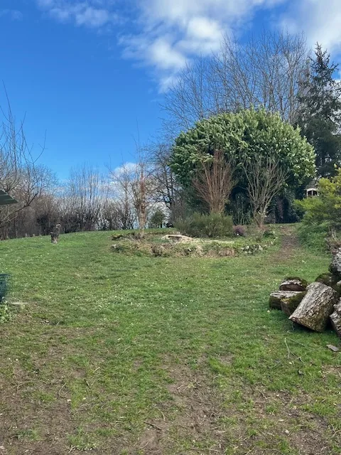 Le même jardin, le pin abattu, le bois coupé en rondins.