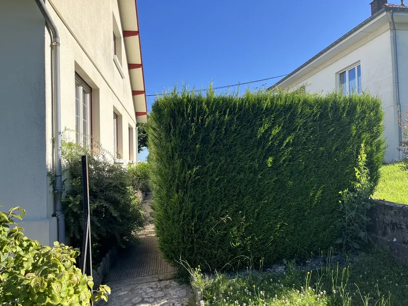 Une haie haute entre deux maisons, avant l'arrachage.